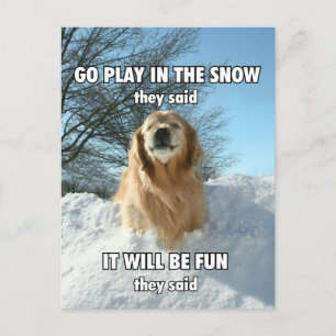Golden Retriever Locarno Spielen im Schnee Meme Postkarte