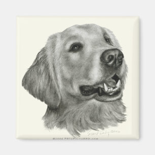 Golden retriever magnet