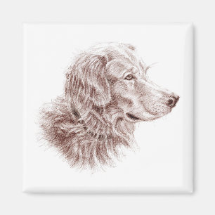 Golden Retriever Magnet