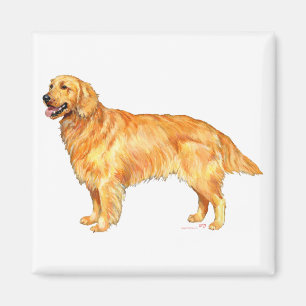 Golden Retriever Magnet