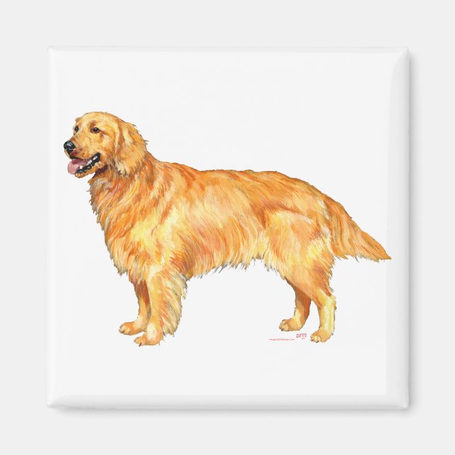Golden Retriever Magnet (Vorne)