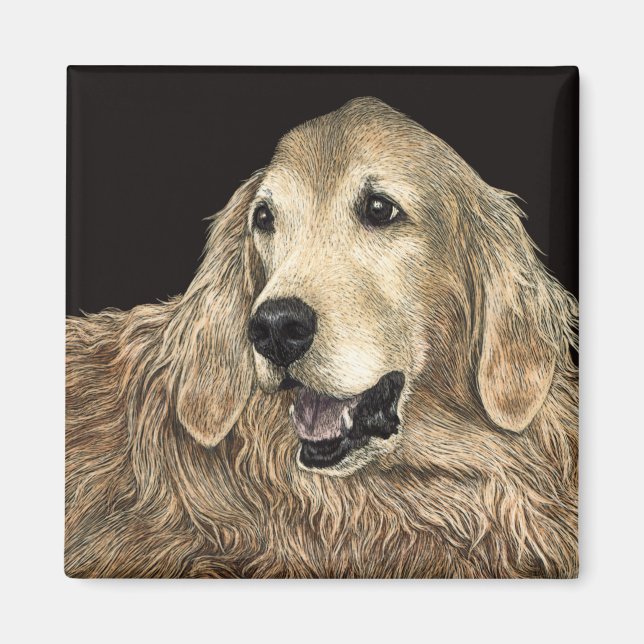 Golden Retriever Magnet - "Bär" (Vorne)