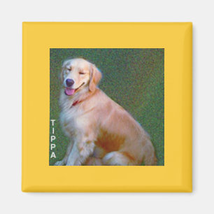 Golden retriever-Magnet Magnet