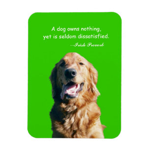 Golden retriever-Magnet mit irischem Sprichwort Magnet