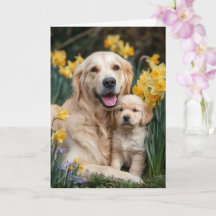 Golden Retriever Mama Muttertag Liebe