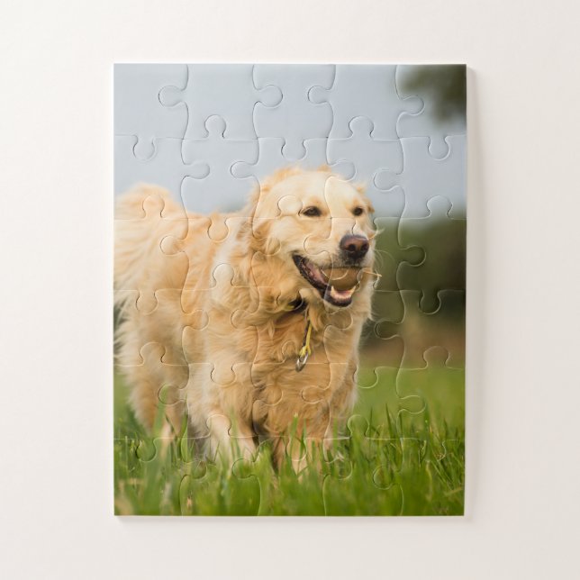Golden Retriever mit Ball Puzzle (Vertikal)