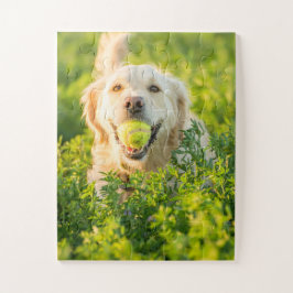 Golden Retriever mit Ball Puzzle