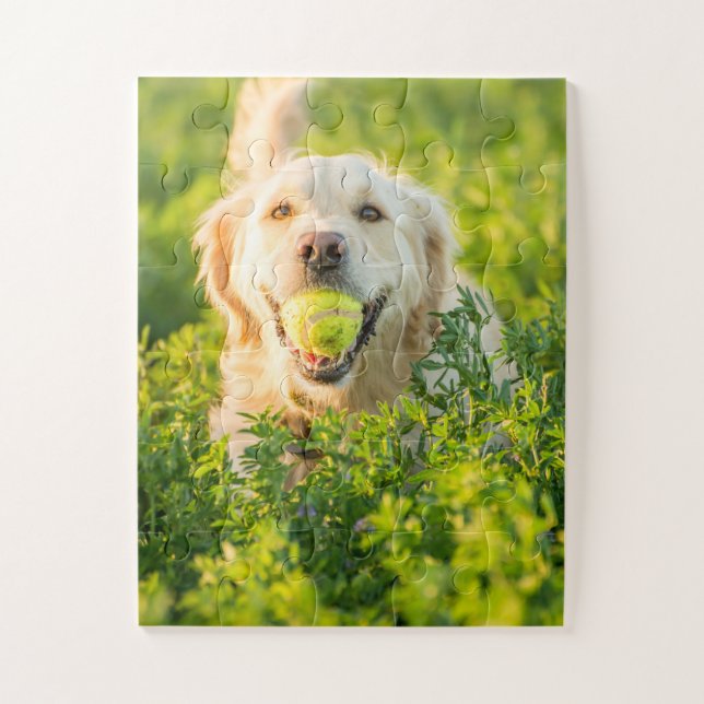Golden Retriever mit Ball Puzzle (Vertikal)