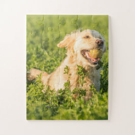 Golden Retriever mit Ball Puzzle