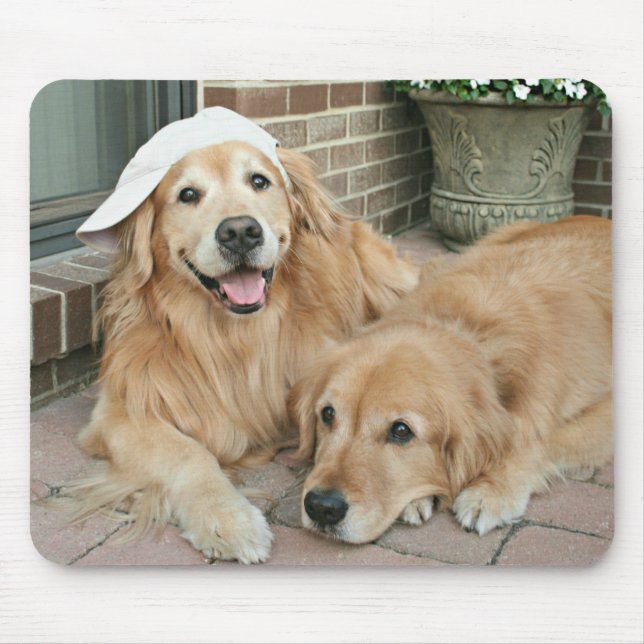 Golden retriever mit Baseballmütze Mousepad (Vorne)