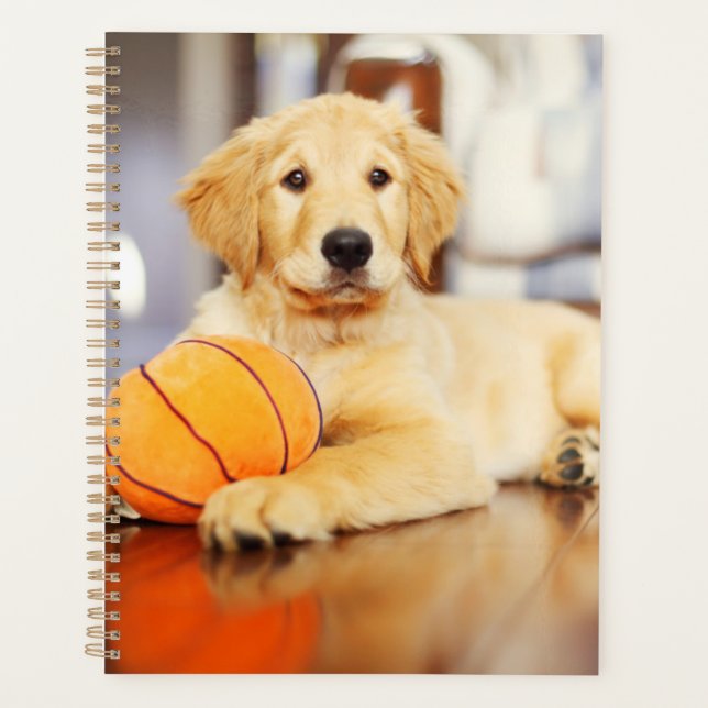 Golden Retriever mit Basketballspielzeug Planer (Vorderseite)