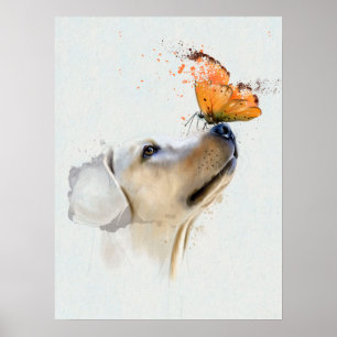 Golden retriever mit einem Schmetterling auf Poster