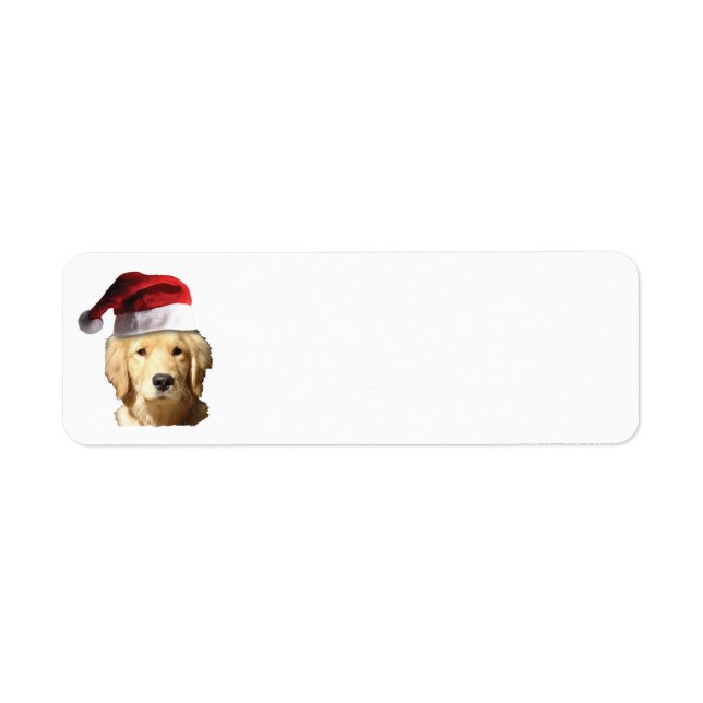 Golden Retriever mit einem Weihnachtshut (Vorne)
