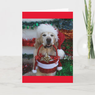 Golden Retriever mit einem Weihnachtskorb Feiertagskarte