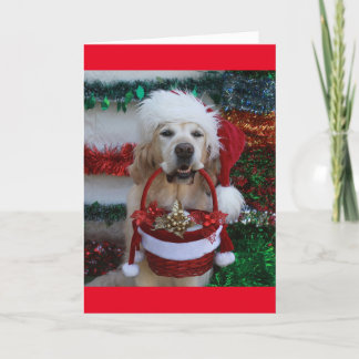 Golden Retriever mit einem Weihnachtskorb Feiertagskarte