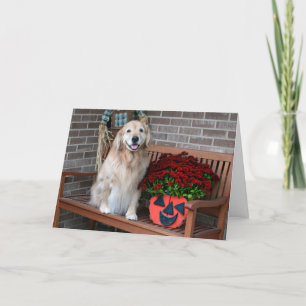 Golden Retriever mit Halloween Pumpkin Planter Karte