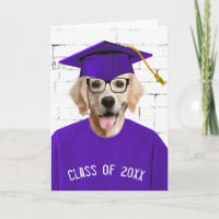 Golden Retriever mit Lila Cap