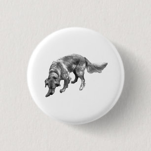 Golden Retriever mit lustigem Gesichtsausdruck Button