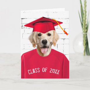 Golden Retriever mit Red Cap Karte