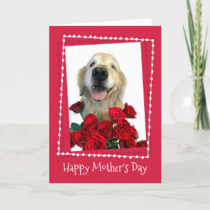 Golden Retriever mit Rote Rosen Muttertag Karte