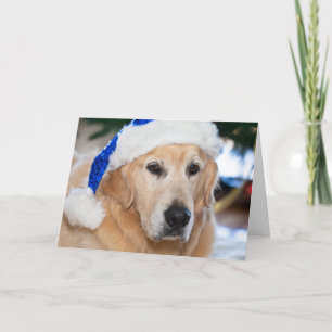 Golden retriever mit Sankt Hut im Weihnachten