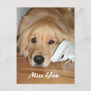 Golden Retriever mit Shoe Miss You Postkarte