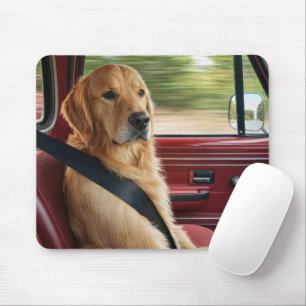 Golden Retriever mit Sicherheitsgurt Mousepad