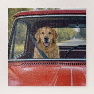 Golden Retriever mit Sicherheitsgurt Puzzle