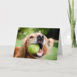 Golden Retriever mit Tennisball Karte