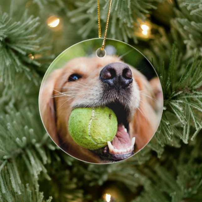 Golden Retriever mit Tennisball Keramik Ornament (Baum)