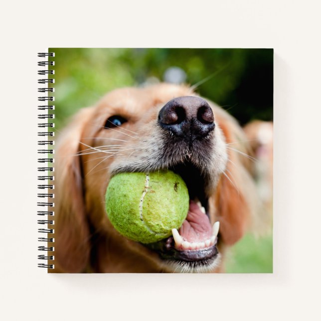 Golden Retriever mit Tennisball Notizbuch (Vorderseite)