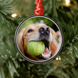 Golden Retriever mit Tennisball Ornament Aus Metall