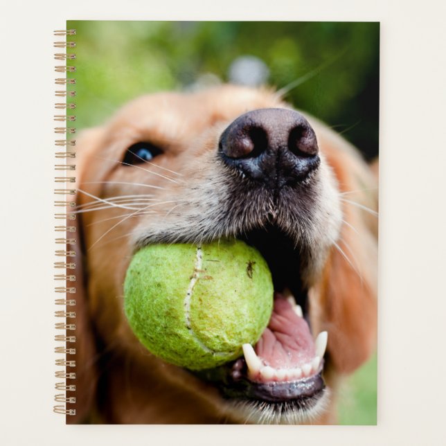 Golden Retriever mit Tennisball Planer (Vorderseite)