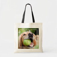 Golden Retriever mit Tennisball