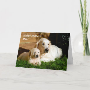 Golden Retriever Mother's Day Mama and Puppy Card Karte