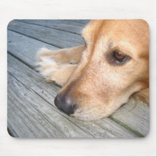 Golden retriever Mousepad
