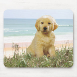 Golden retriever Mousepad