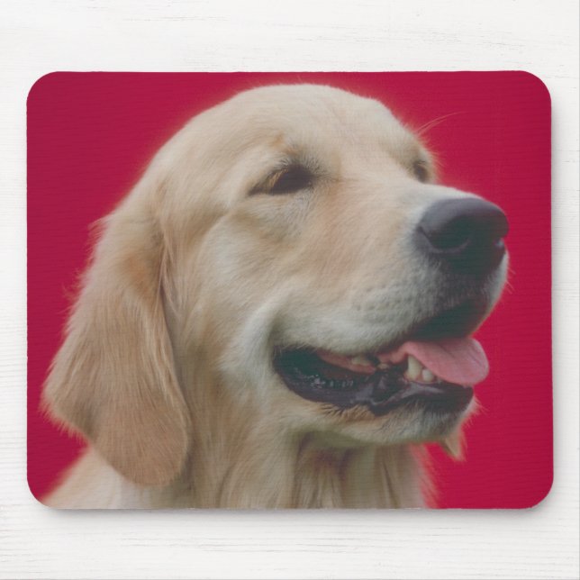 Golden retriever mousepad (Vorne)
