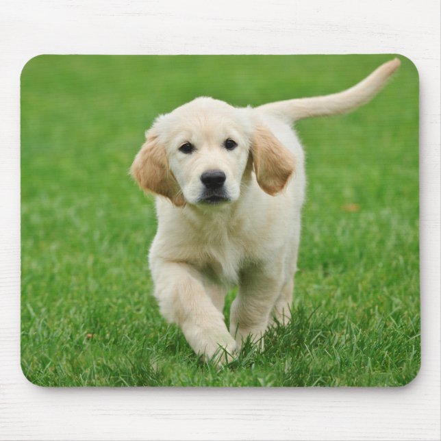Golden Retriever Mousepad (Vorne)