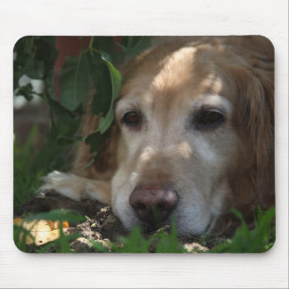 Golden retriever mousepad