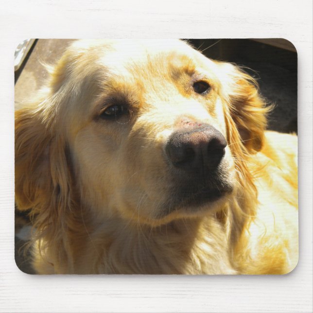 Golden retriever Mousepad (Vorne)