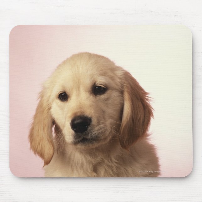 Golden Retriever Mousepad (Vorne)