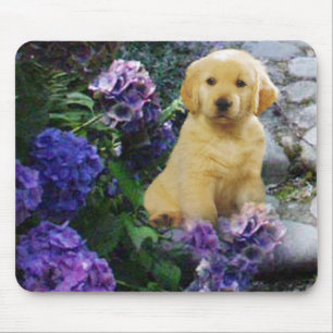Golden retriever Mousepad Hydrangea