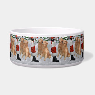 Golden Retriever Napf
