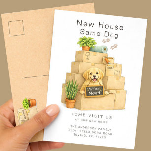 Golden Retriever Neues Haus Selber Hund Umzug Postkarte