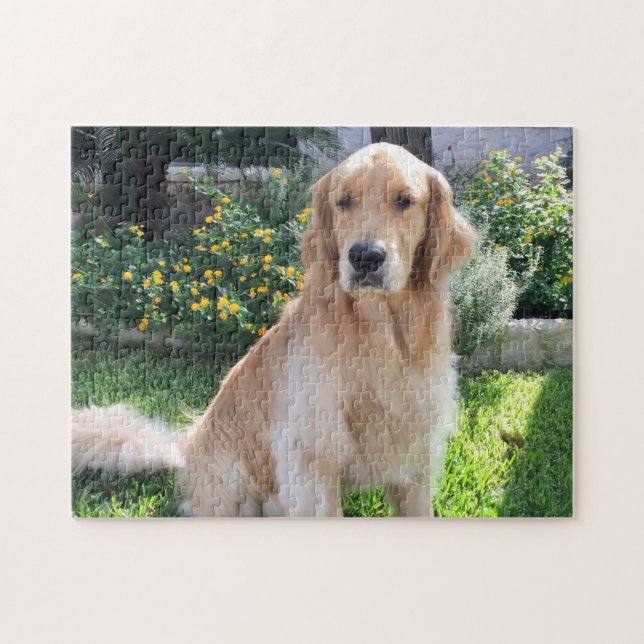 Golden Retriever Niedlich Hund Foto Blume Haustier Puzzle (Horizontal)