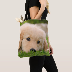 Golden Retriever Niedlich Puppy Dog Foto - on Shop