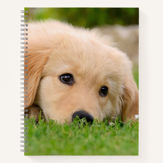 Golden Retriever Niedlich Welppy Dreams Dog Head F Notizbuch (Vorderseite)