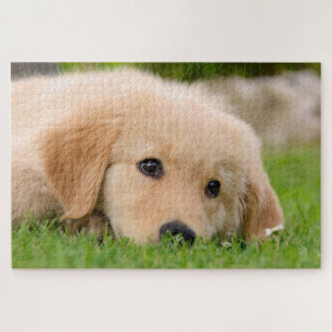 Golden Retriever Niedliche Welpenträume Puzzle