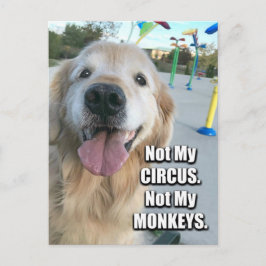 Golden Retriever Not My Circus polnischen Sprichwo Postkarte